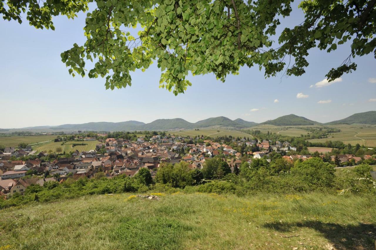 Wein-Domizil Brennofen Hotel Ilbesheim bei Landau in der Pfalz Exterior foto